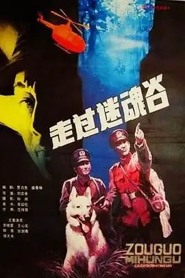 《走过迷魂谷》封面