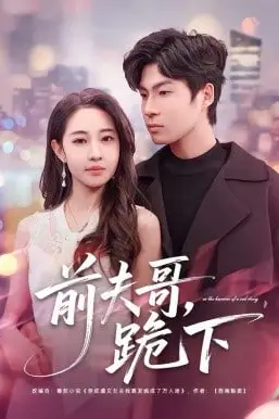 《前夫哥，跪下》封面