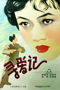 《寻爱记》封面