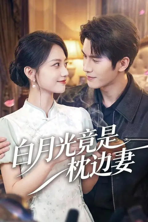 《白月光竟是枕边妻》封面