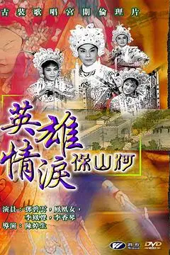 《英雄情泪保山河》封面