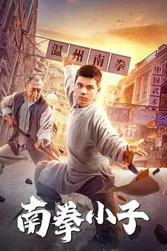 《南拳小子》封面