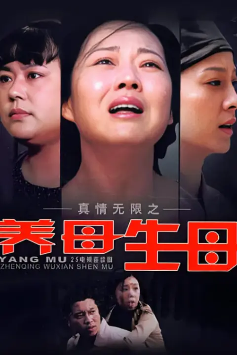 《真情无限之养母生母》封面