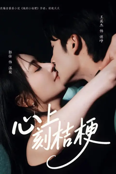 《心上刻桔梗》封面