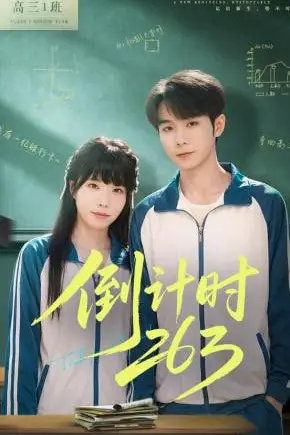《倒计时263》封面