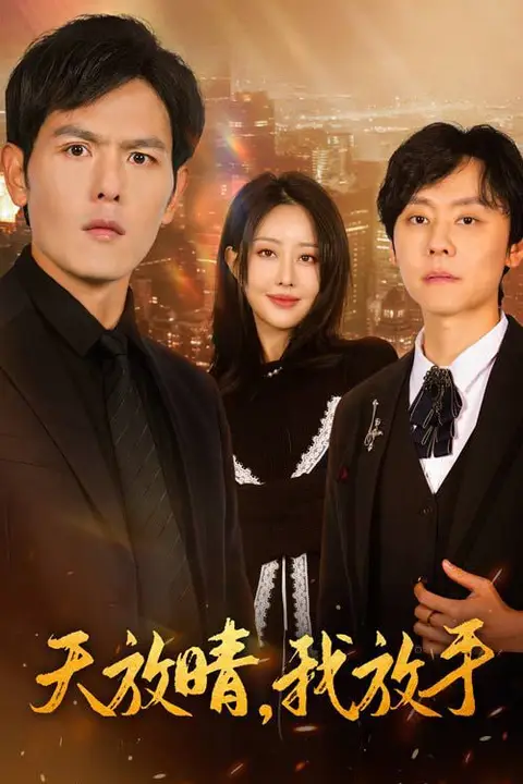 《天放晴我放手》封面