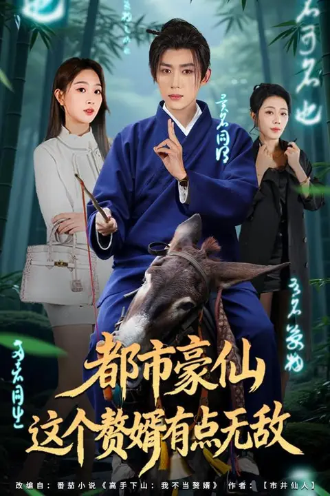 《都市豪仙,这个赘婿有点无敌》封面