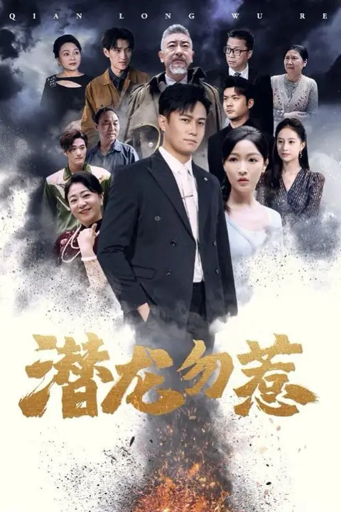 《潜龙勿惹》封面