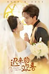《迟来的欢喜》封面