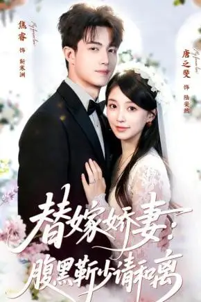 《替嫁娇妻:腹黑靳少请和离》封面