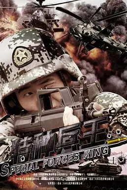 《特种兵王》封面