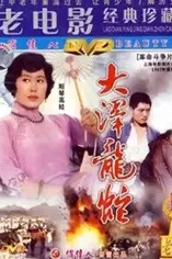 《大泽龙蛇》封面