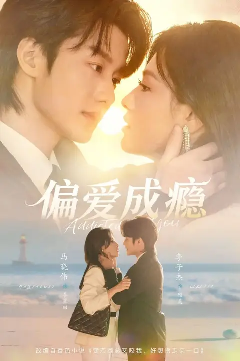 《偏爱成瘾》封面