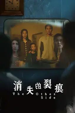 《消失的裂痕》封面