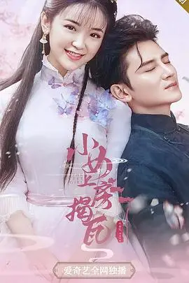 《小女上房揭瓦第一季》封面