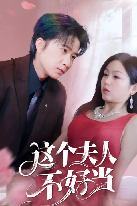 《这个夫人不好当》封面