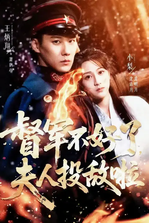《督军不好了,夫人投敌啦(清月照鹤亭)》封面