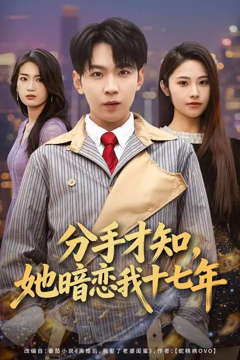 《分手才知,她暗恋我十七年》封面