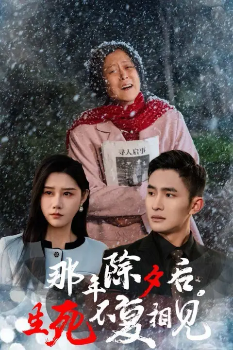 《那年除夕后生死不复相见》封面