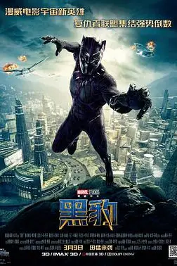 《黑豹》封面