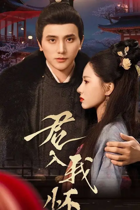 《君入我怀》封面