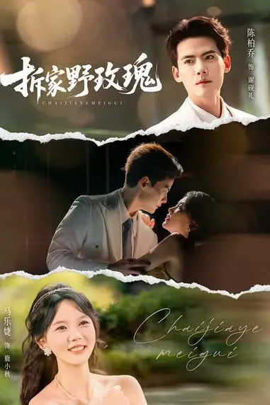 《拆家野玫瑰》封面