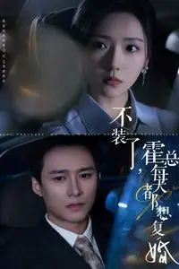 《不装了霍总每天都想复婚》封面