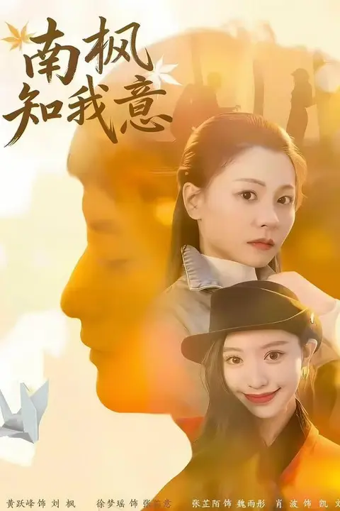 《南枫知我意》封面