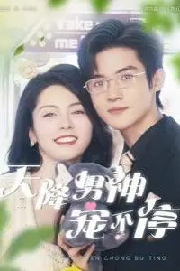 《天降男神宠不停》封面