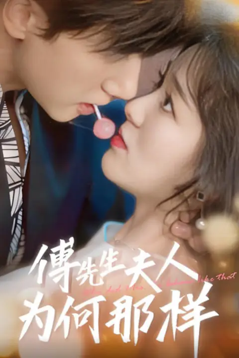 《傅先生夫人为何那样》封面