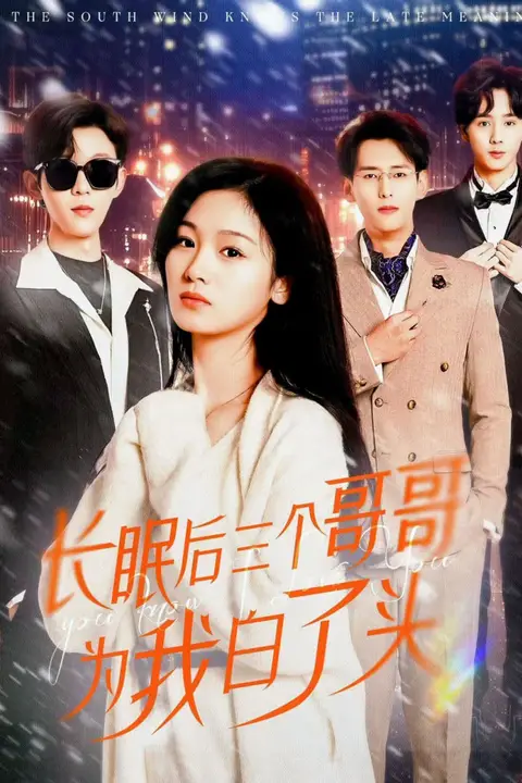 《长眠后三个哥哥为我白了头》封面