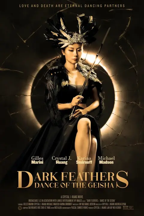 《暗翎之舞 Dark Feathers》封面