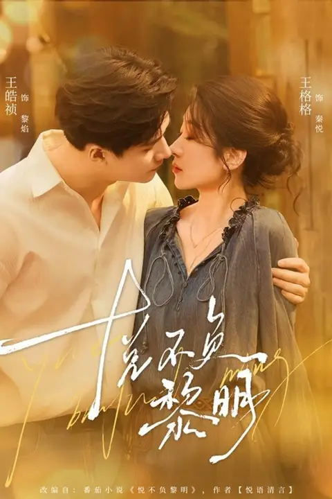 《悦不负黎明》封面