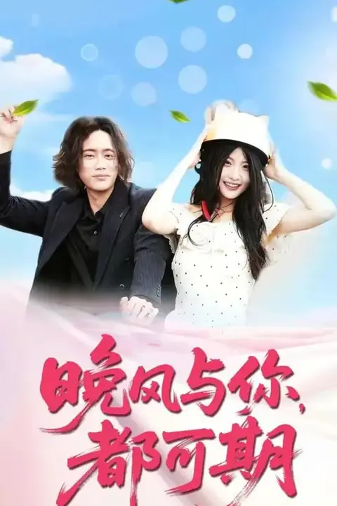 《晚风与你都可期》封面