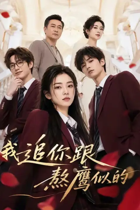 《我追你跟熬鹰似的》封面