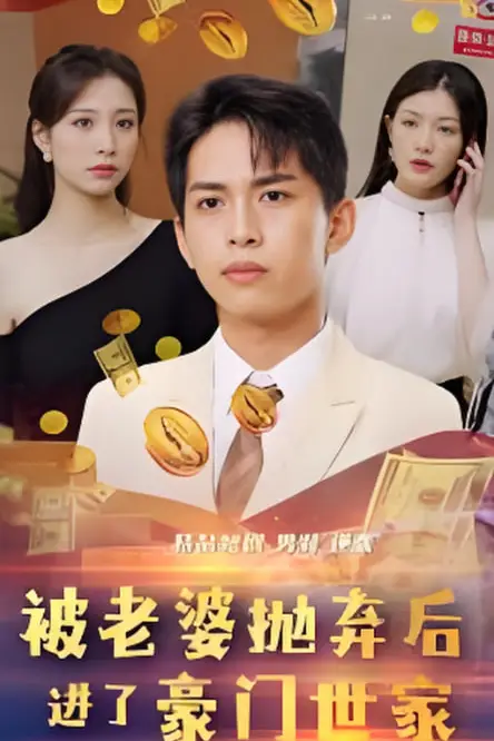 《被老婆抛弃后进了豪门世家(我爹是世界首富)》封面