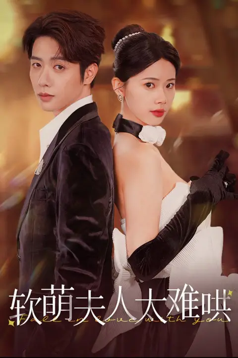 《软萌夫人太难哄》封面