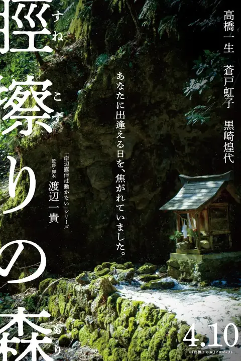 《胫擦之森 脛擦》封面