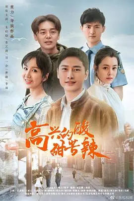 《高兴的酸甜苦辣》封面