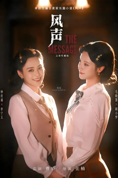 《风声之双生迷局》封面