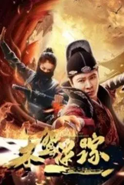 《木鸢迷踪》封面