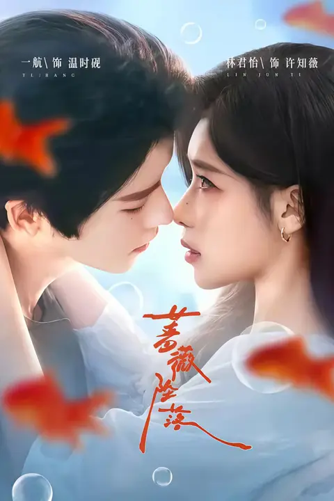 《蔷薇坠落》封面