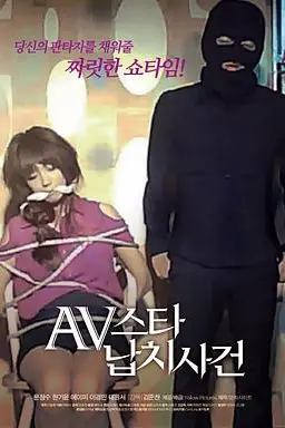 《AV明星绑架案事件》封面