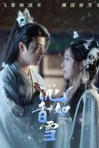 《沉香如雪》封面