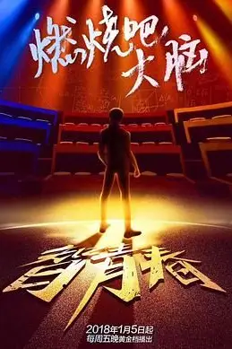 《最强大脑之燃烧吧大脑 第一季》封面