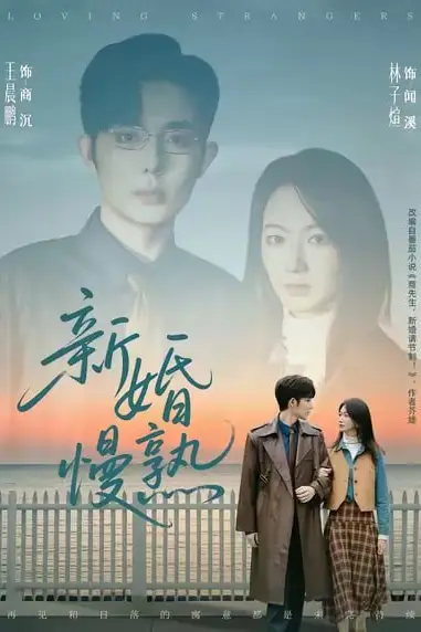 《新婚慢熟》封面