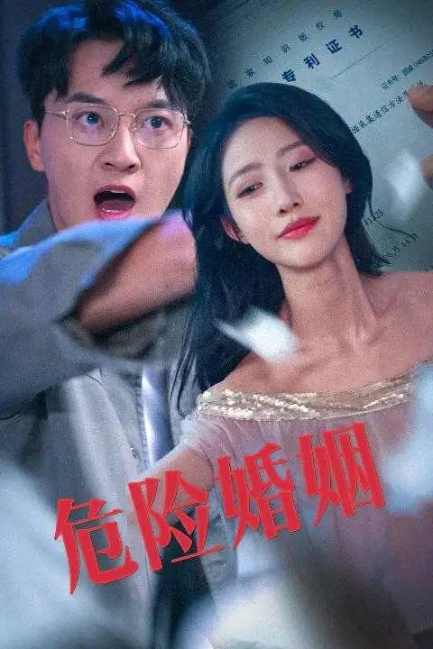 《危险婚姻》封面