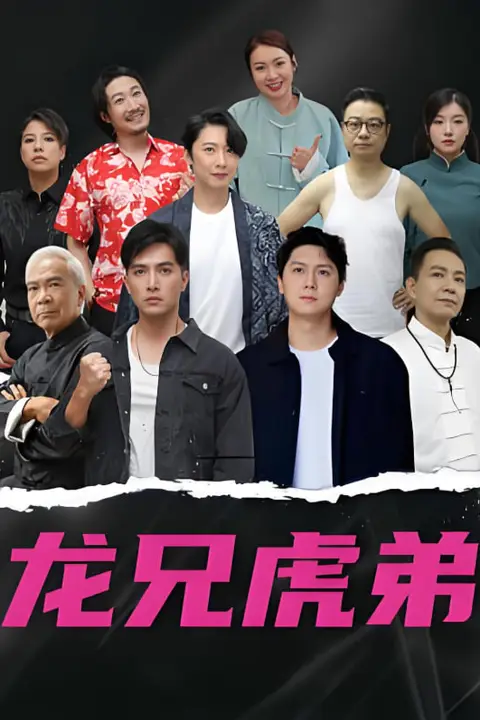 《龙兄虎弟 国语版》封面