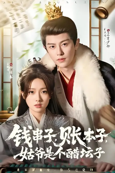 《钱串子账本子姑爷是个醋坛子》封面