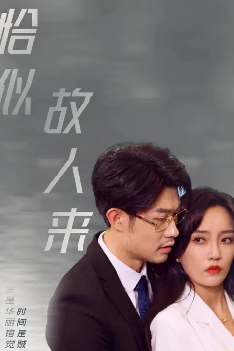 《恰似故人来》封面